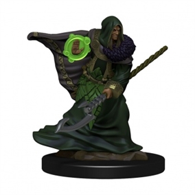 DnD  - Elf Druid Male - Icons of the Realms Premium DnD Figur